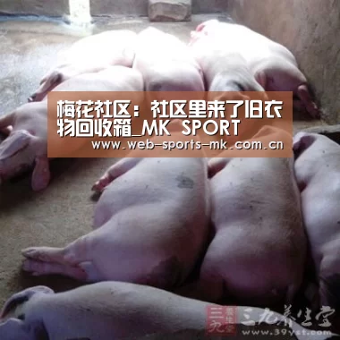 MK体育中国