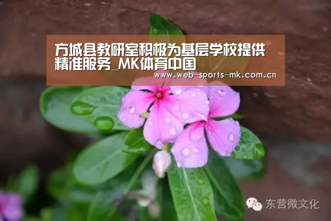 MK体育官网