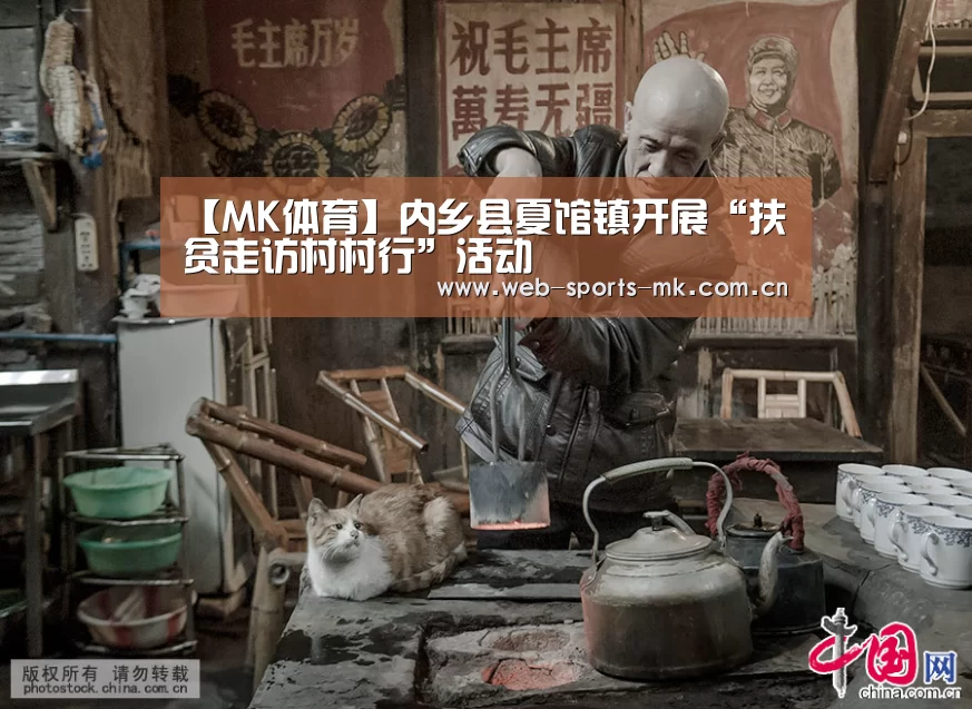 【MK体育】内乡县夏馆镇开展“扶贫走访村村行”活动(图2) MK体育中国