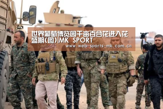 世界葡萄博览园千亩百合花进入花盛期(图)|MK SPORT(图2) MK体育官网
