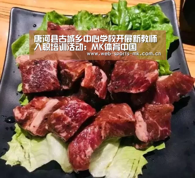 唐河县古城乡中心学校开展新教师入职培训活动:MK体育中国(图1) MK体育官网